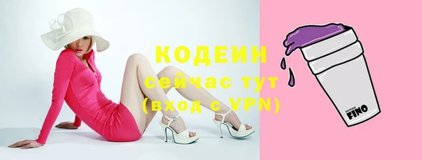 индика Дмитриев