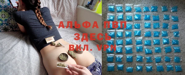 мяу мяу мука Абаза