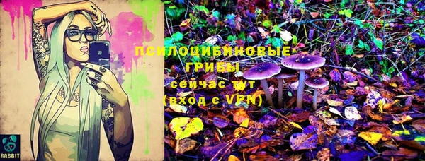 дмт Алексин