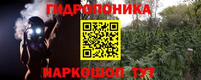 Альфа ПВП Можайск