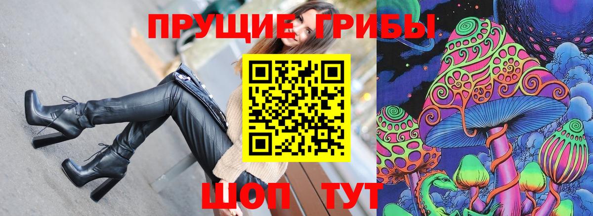 Псилоцибиновые грибы GOLDEN TEACHER  Псилоцибиновые грибы мицелий  Вход с VPN  Клинцы 