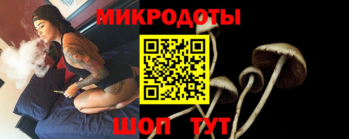 Галлюциногенные грибы прущие грибы Клинцы